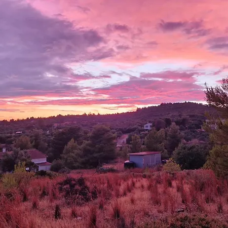 בית נופש Freesia House קראנידיון