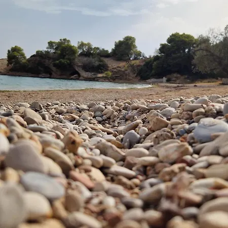 בית נופש Freesia House *