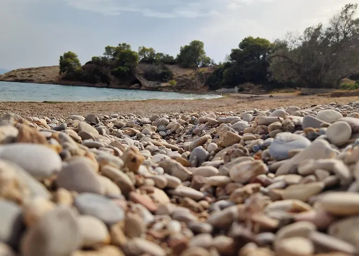 Feriehus Freesia House *